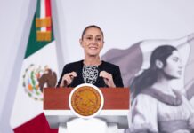 Disminuyeron 42% los homicidios dolosos en México: Sheinbaum