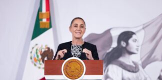 Disminuyeron 42% los homicidios dolosos en México: Sheinbaum