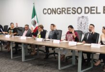 Aprueban exhorto para implementar reforestación estatal con especies nativas