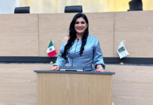 Delfina Pozos impulsa regular estacionamientos públicos