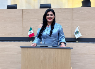 Delfina Pozos impulsa regular estacionamientos públicos