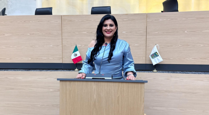 Delfina Pozos impulsa regular estacionamientos públicos