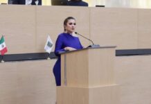 Delfina Pozos propone diagnóstico obligatorio al inicio de cada gestión