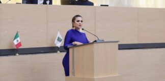 Delfina Pozos propone diagnóstico obligatorio al inicio de cada gestión