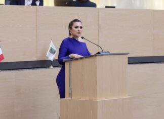 Delfina Pozos propone diagnóstico obligatorio al inicio de cada gestión