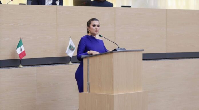 Delfina Pozos propone diagnóstico obligatorio al inicio de cada gestión