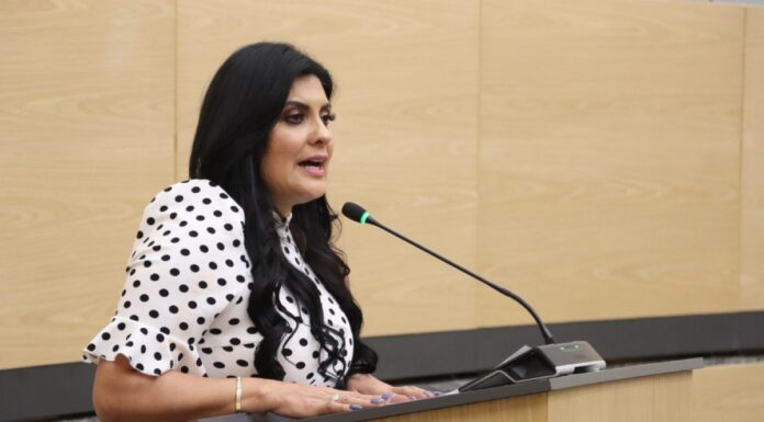 Piden a SSP informe sobre cámaras de videovigilancia en Puebla