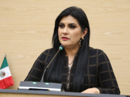 Piden transparentar impacto a árboles afectados por Cablebús