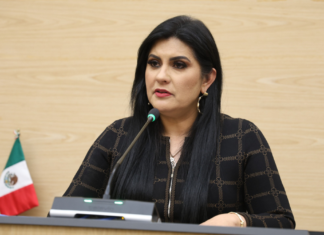 Piden transparentar impacto a árboles afectados por Cablebús