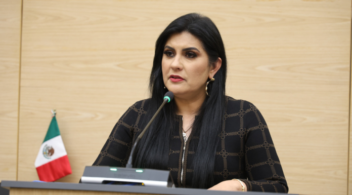 Piden transparentar impacto a árboles afectados por Cablebús