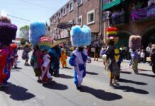 Texmelucan celebra 7° desfile de carnaval “Suma de tradiciones”