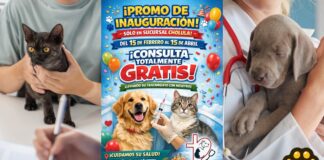 El Arca Veterinaria ofrece consultas gratuitas para mascotas en Cholula