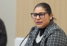 Avanza propuesta para programa de reforestación con especies nativas