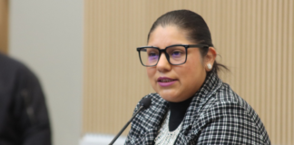 Avanza propuesta para programa de reforestación con especies nativas