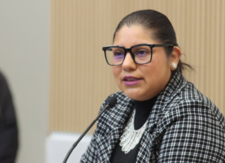 Avanza propuesta para programa de reforestación con especies nativas