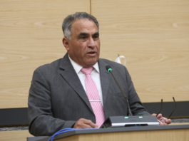 Elpidio Díaz pide inspección total a unidades del transporte público