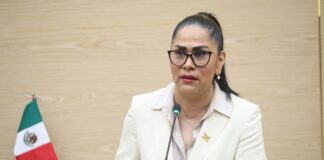 Proponen que bares y centros nocturnos conserven videograbaciones por 30 días