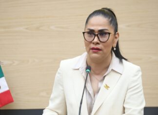 Proponen que bares y centros nocturnos conserven videograbaciones por 30 días