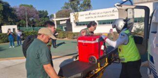 Puebla coordina traslado aéreo de dos hígados para trasplantes en CDMX
