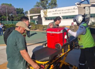 Puebla coordina traslado aéreo de dos hígados para trasplantes en CDMX