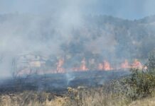 Controlan incendio en pastizales de Zautla con apoyo de pobladores