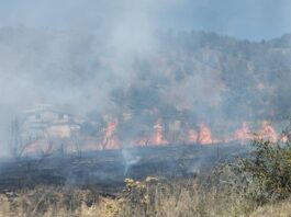 Controlan incendio en pastizales de Zautla con apoyo de pobladores