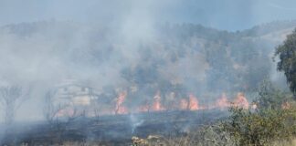 Controlan incendio en pastizales de Zautla con apoyo de pobladores