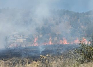 Controlan incendio en pastizales de Zautla con apoyo de pobladores