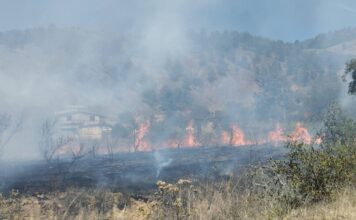 Controlan incendio en pastizales de Zautla con apoyo de pobladores