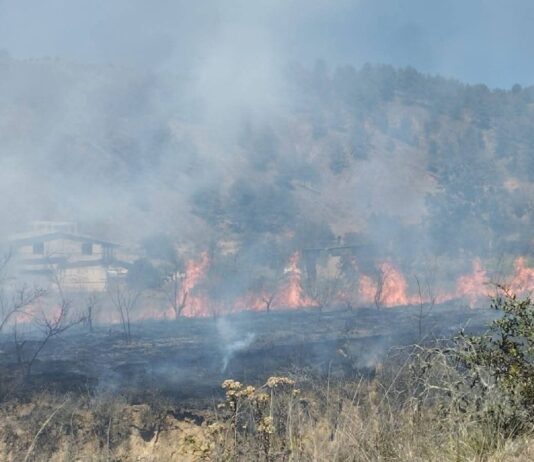 Controlan incendio en pastizales de Zautla con apoyo de pobladores