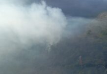 Controlan al 90% incendio forestal en Oriental