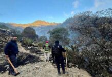 Controlan dos incendios forestales en Libres y San Pedro Cholula