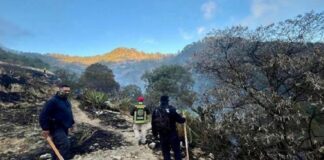 Controlan dos incendios forestales en Libres y San Pedro Cholula
