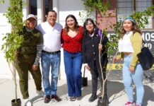 Texmelucan reforesta calles con 120 árboles tras obras de drenaje