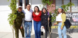 Texmelucan reforesta calles con 120 árboles tras obras de drenaje