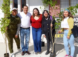 Texmelucan reforesta calles con 120 árboles tras obras de drenaje