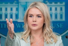 EU confirma apoyo de inteligencia en operativo contra “El Mencho”