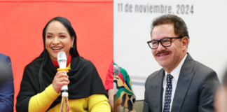 Liz Sánchez ve a Nacho Mier como clave para la Reforma Electoral