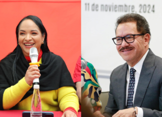 Liz Sánchez ve a Nacho Mier como clave para la Reforma Electoral