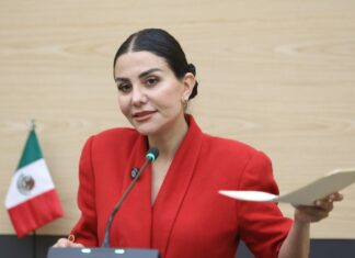 Proponen regular la telemedicina en sector salud de Puebla