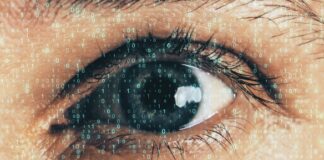 Neuralink desarrolla chip para devolver la vista a personas ciegas