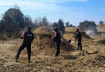 Policía Forestal de Puebla cumple un año de operaciones