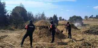 Policía Forestal de Puebla cumple un año de operaciones