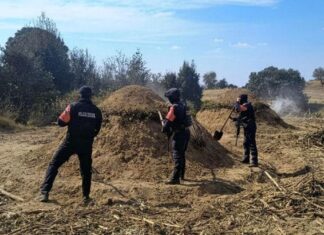 Policía Forestal de Puebla cumple un año de operaciones
