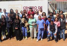 Zacatlán capacita a funcionarios en bienestar animal y denuncias