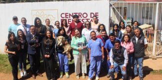 Zacatlán capacita a funcionarios en bienestar animal y denuncias