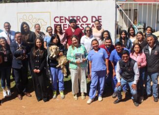 Zacatlán capacita a funcionarios en bienestar animal y denuncias