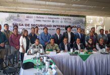 Omar Muñoz participa en Mesa de Seguridad Interregional Puebla–Tlaxcala