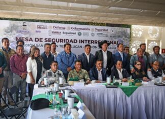 Omar Muñoz participa en Mesa de Seguridad Interregional Puebla–Tlaxcala