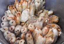 Intoxican a niña con tamales de fentanilo en Huachinango